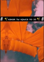 какая ты крыса по знаку зодиака (ч.1)