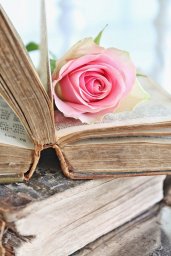 Топ книг по развитию Конструктивного общения