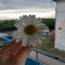 Здесь я хочу рассказать из личного опыта,как я стала адаптивной