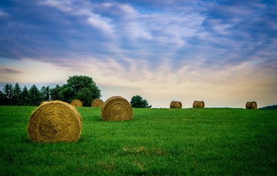 8 самых больших ферм в мире