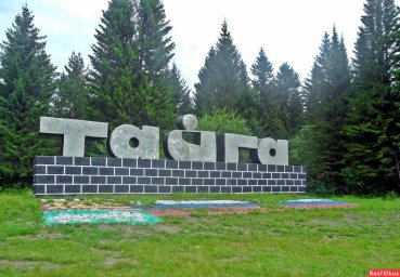 Тайга. История возникновения