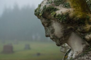 Печальные факты об экологии